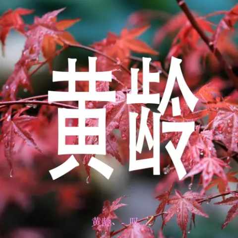 Huang Ling Tang Duy Tan Musicya.ir دانلود آهنگ چینی یی وانگ یی وانگ دو یی وانگ با ترجمه فارسی